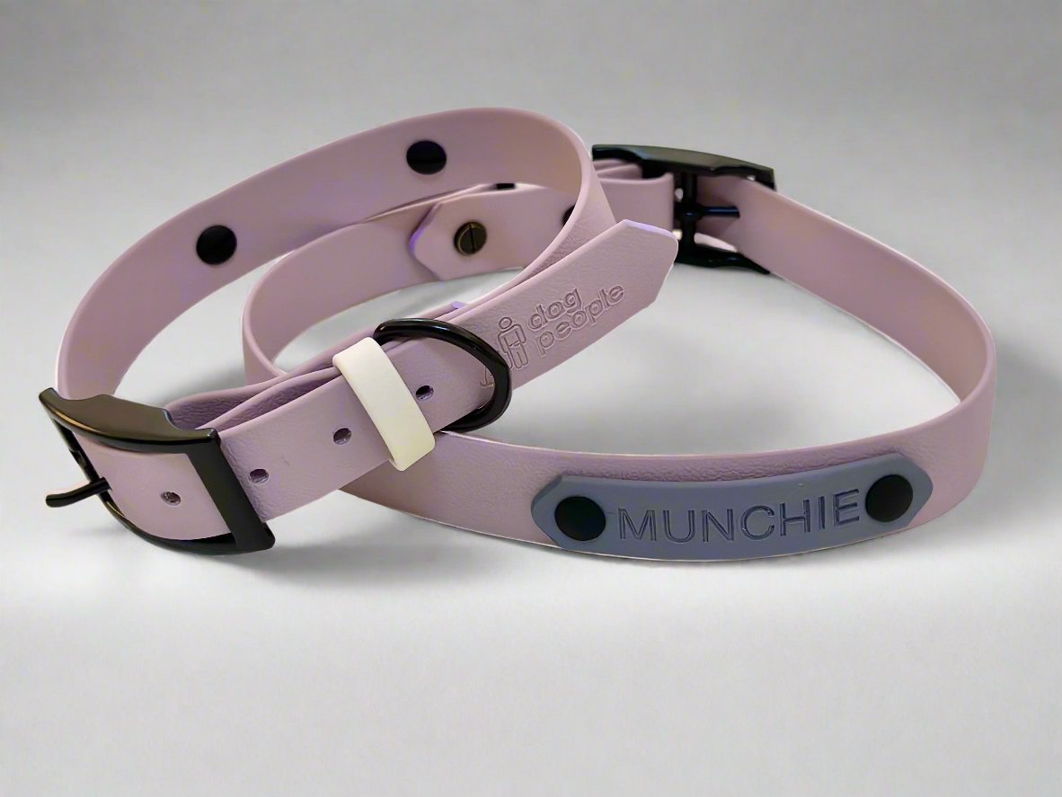 Name plate/phone number add on for collars