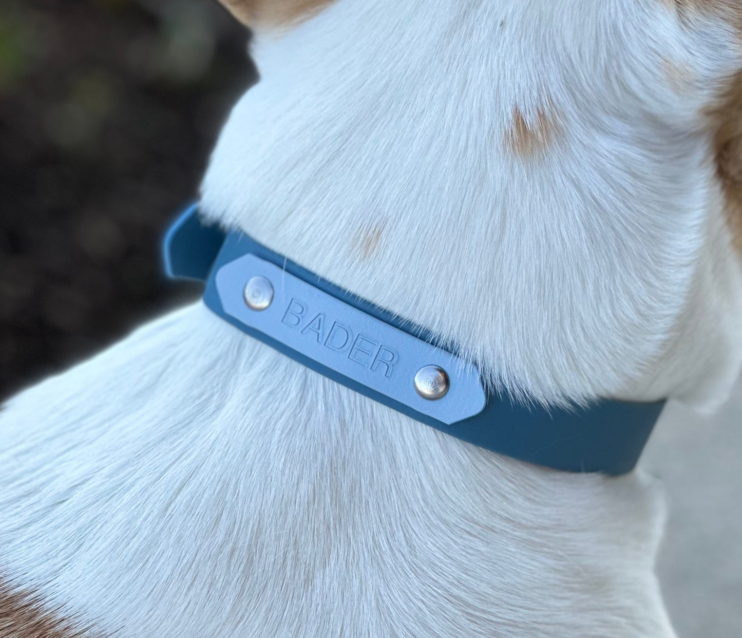 Name plate/phone number add on for collars