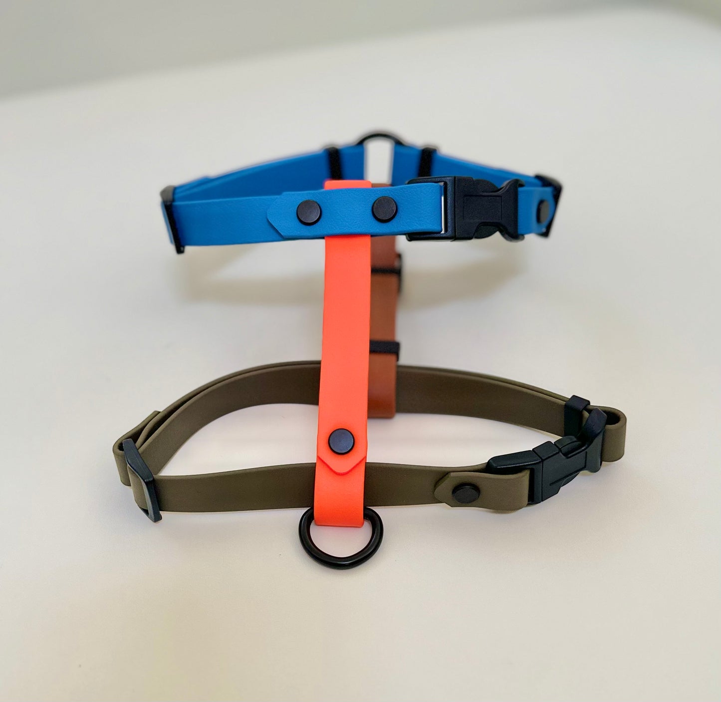 The Rocco Harness