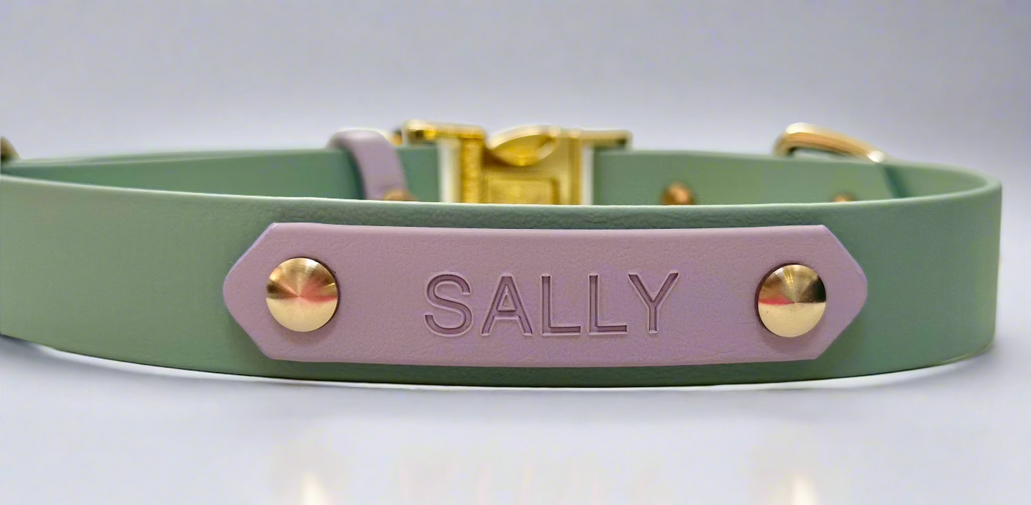 Name plate/phone number add on for collars