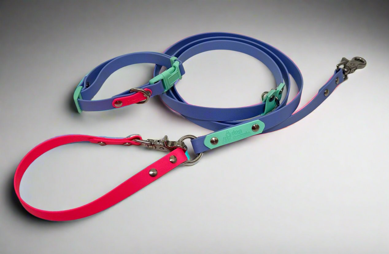 80s Aerobics All The Ways leash