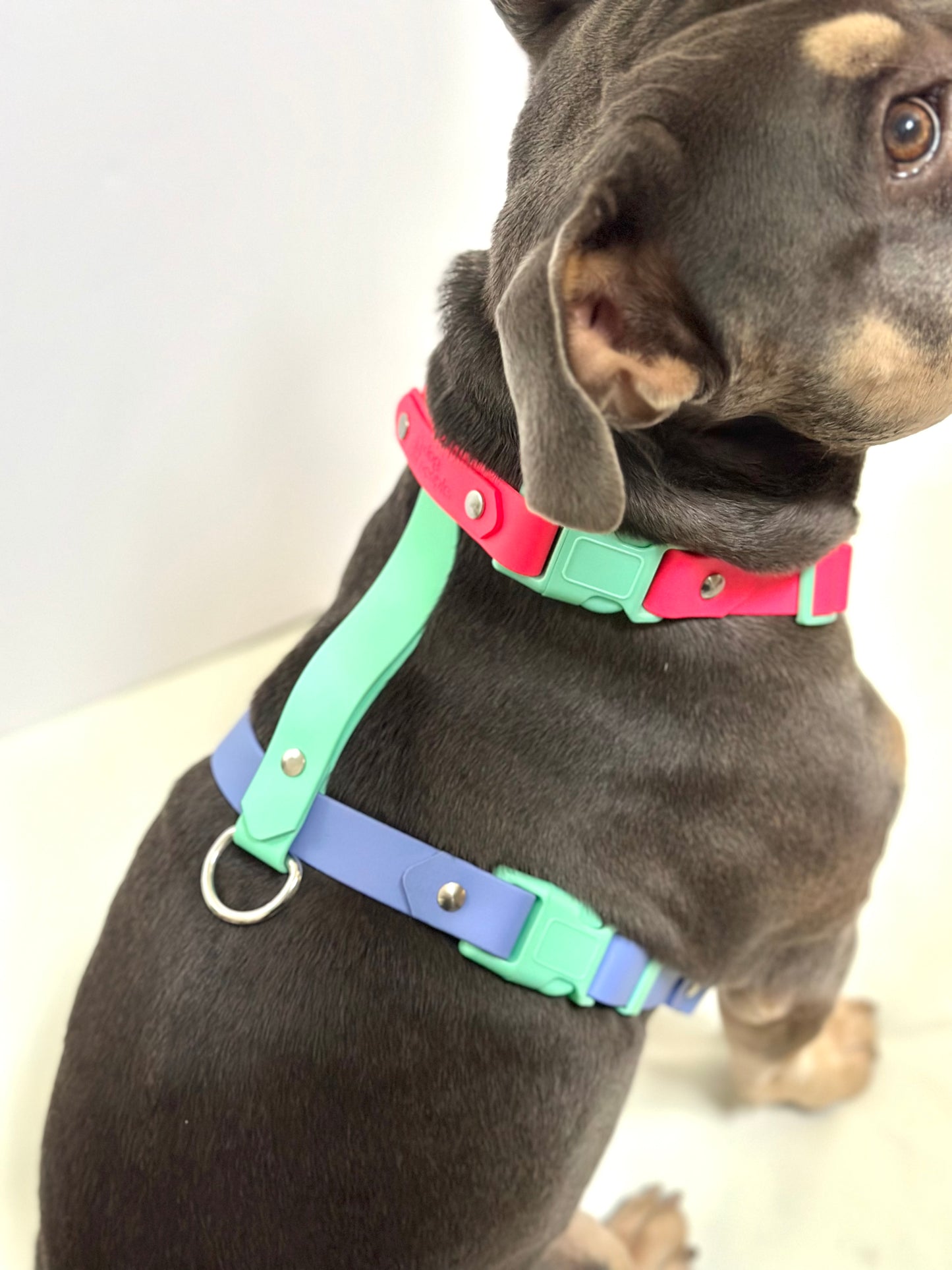 Limited Edition - 80s Aerobics Harness