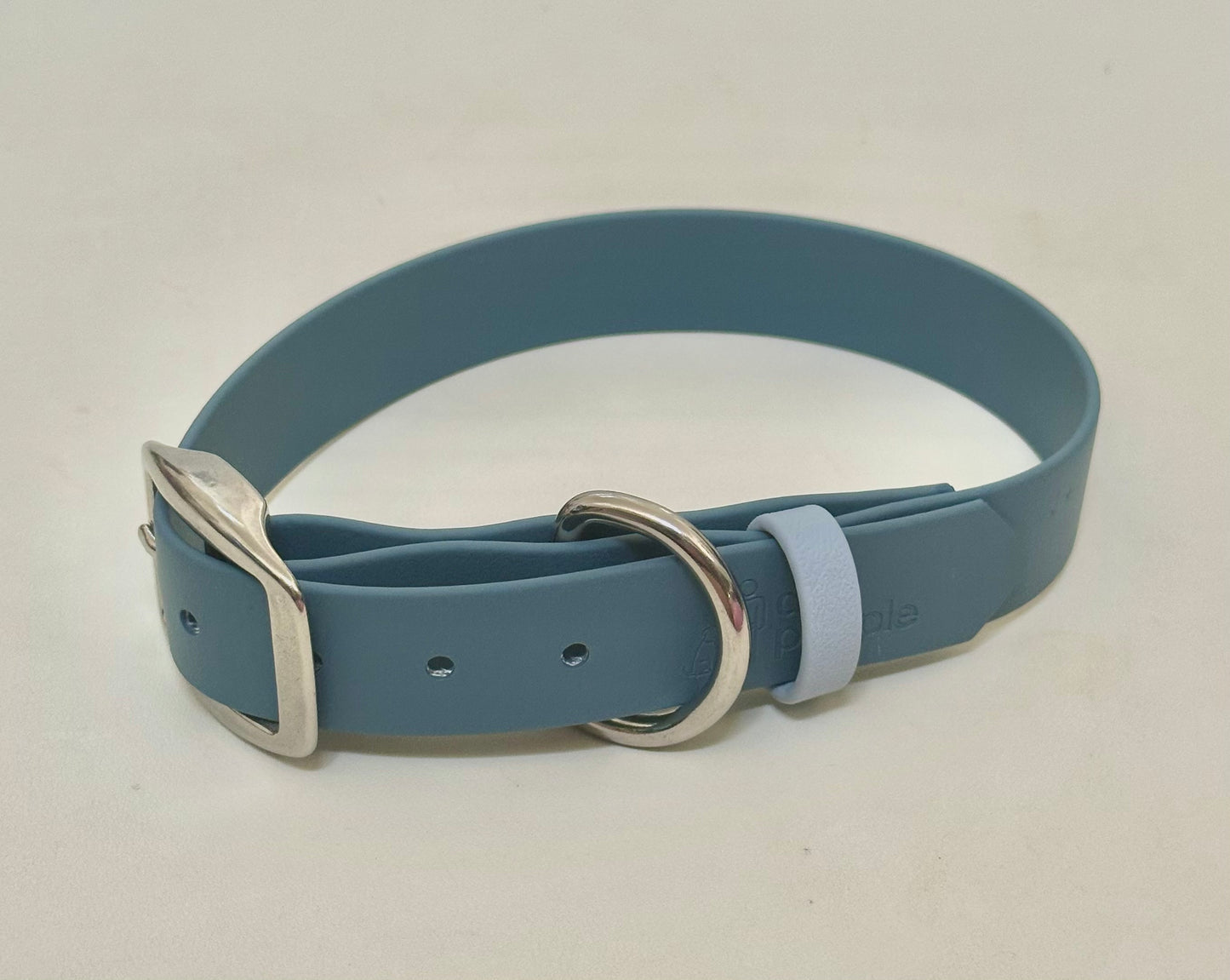 Limited Edition The Beach Buckle Collar