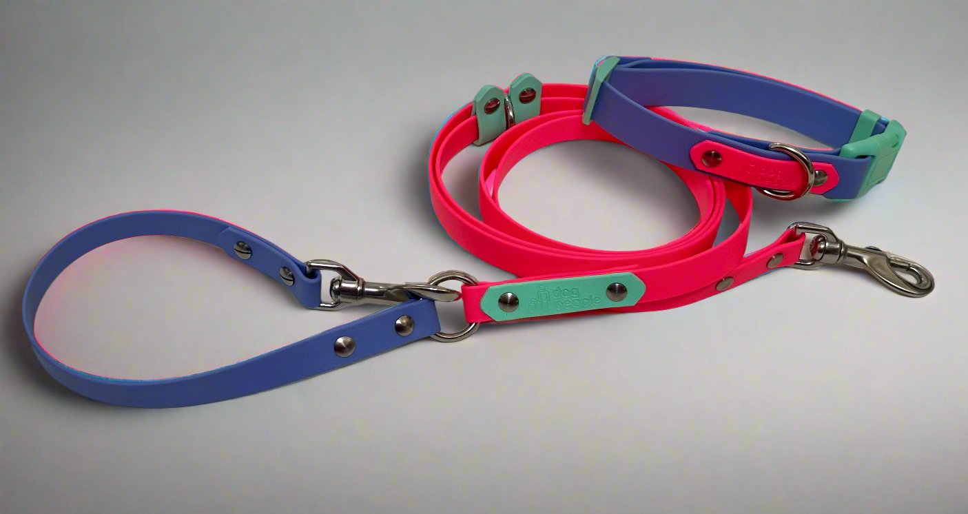 80s Aerobics All The Ways leash