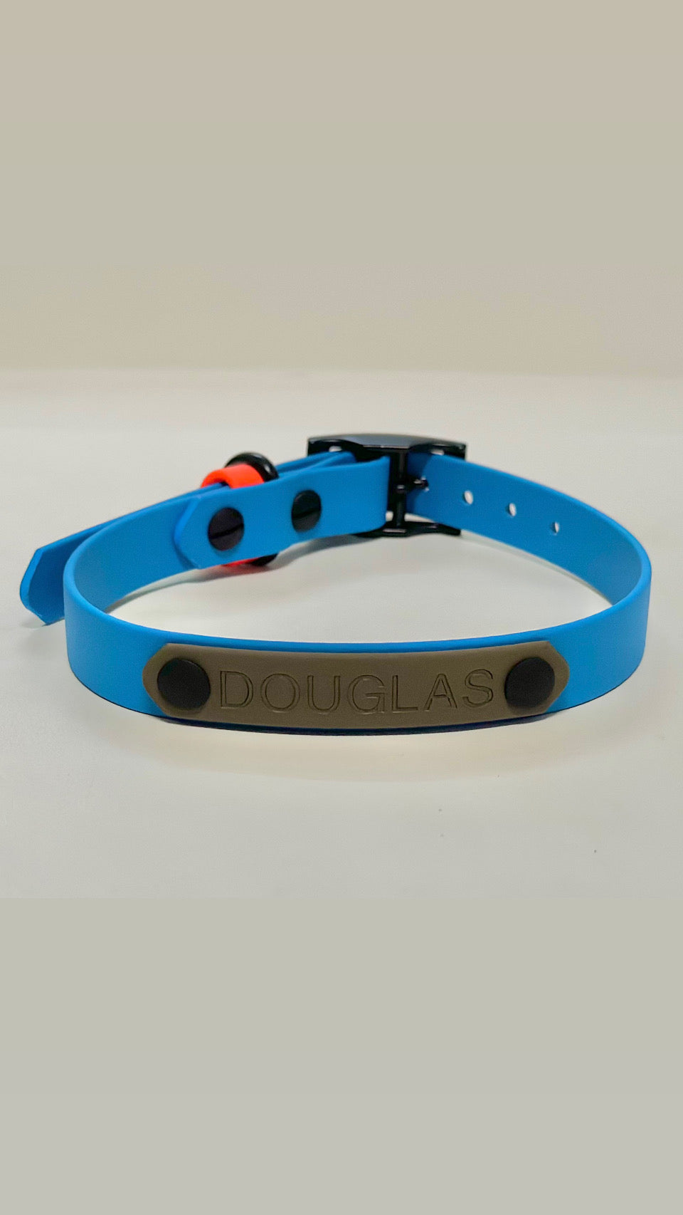 The Buckle Collar