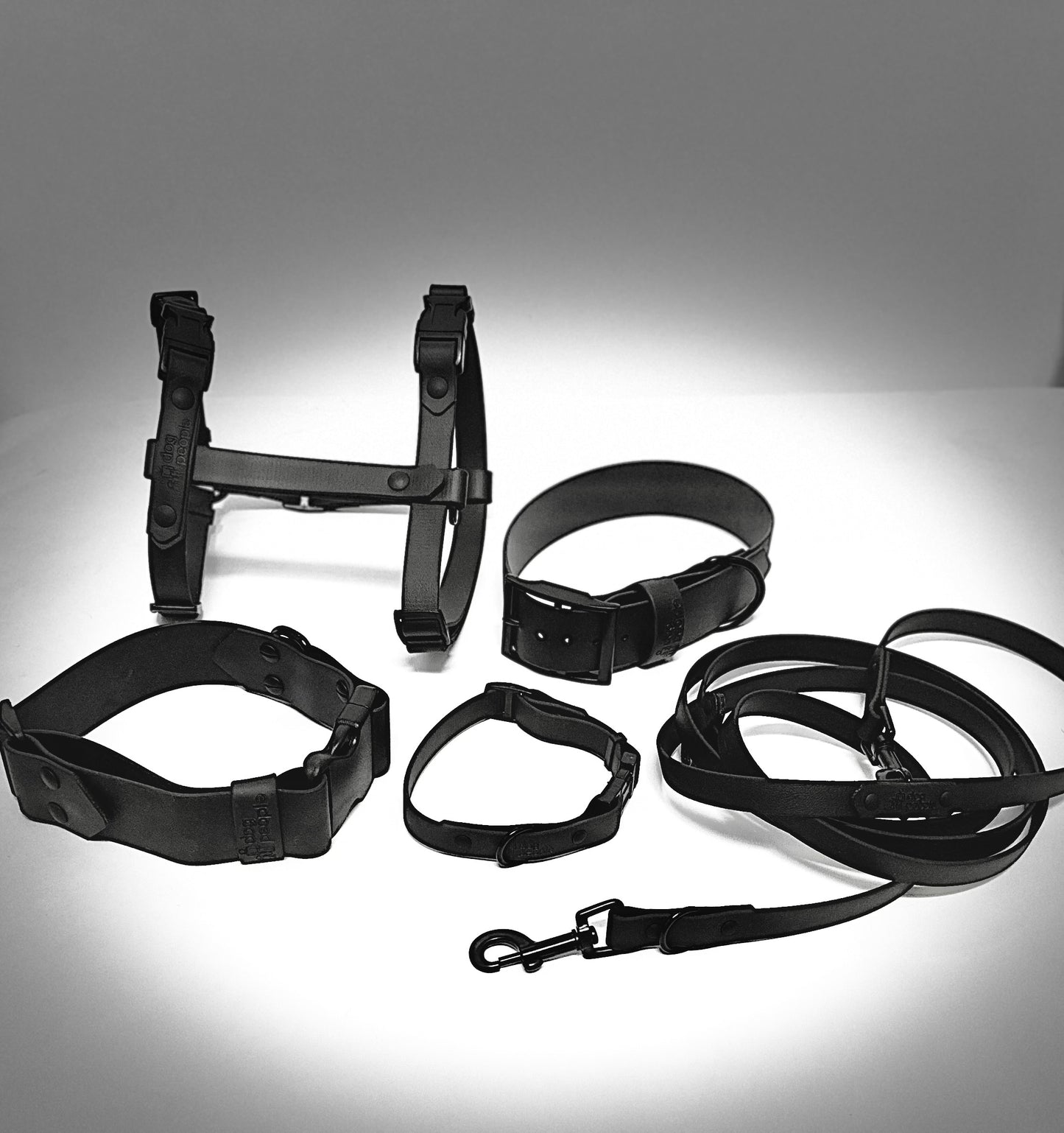 Blackout All The Ways leash 8 ft