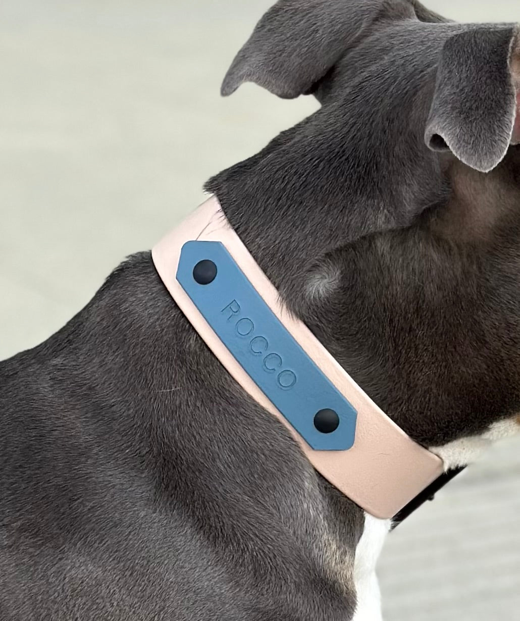 Name plate/phone number add on for collars