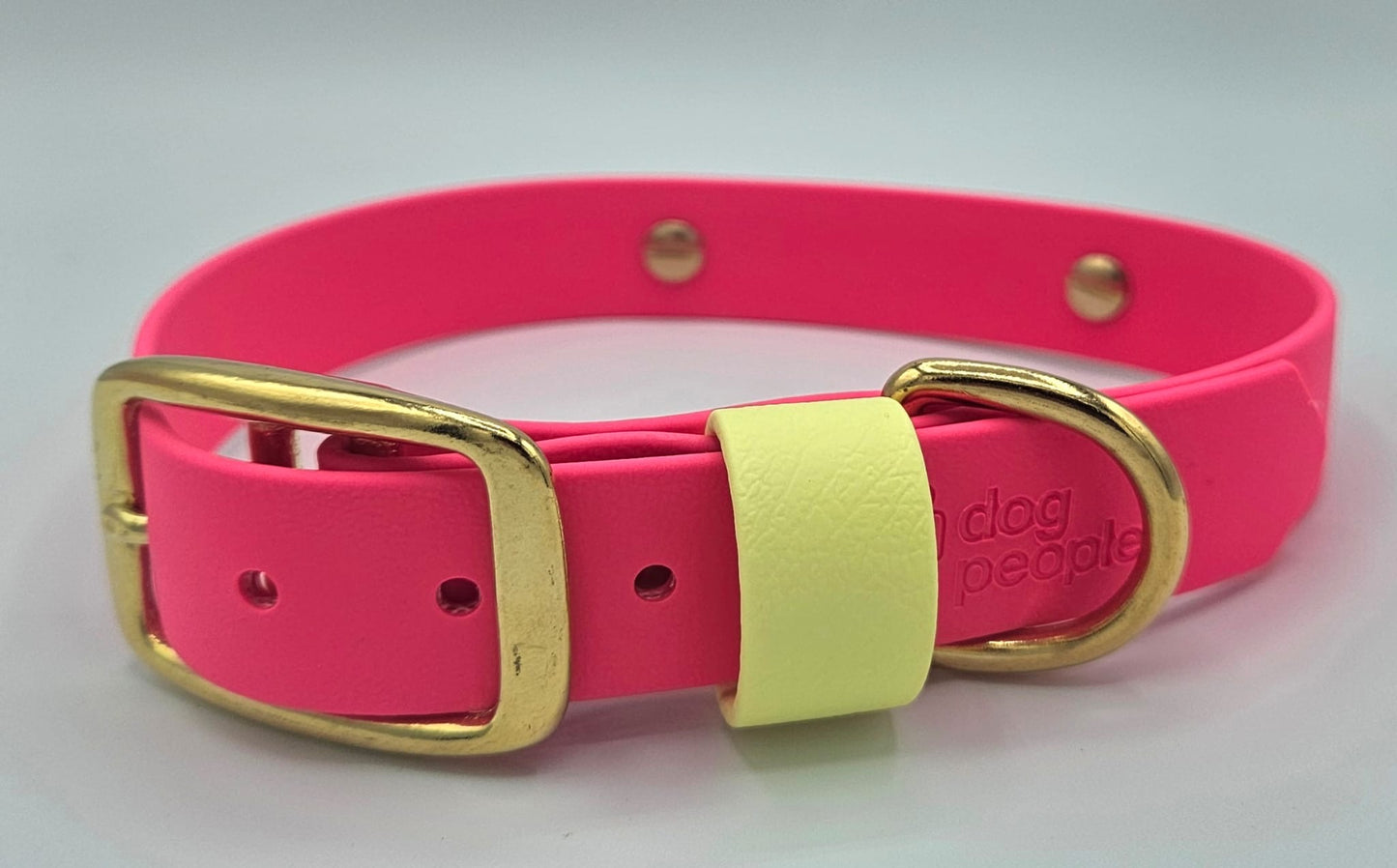 The Buckle Collar