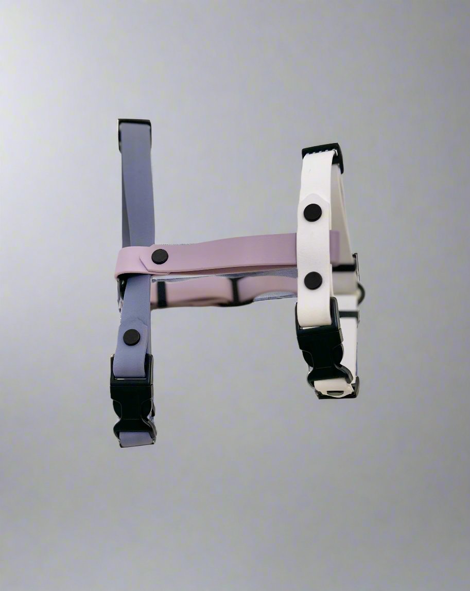 Lilac Dreams Harness