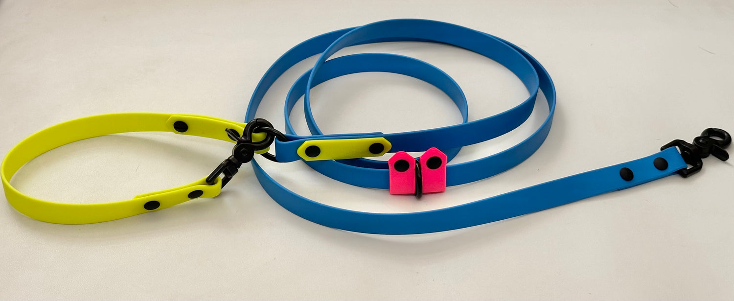 All the Ways Leash