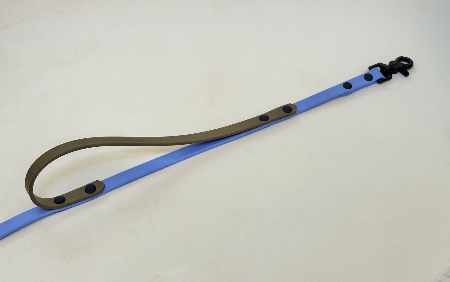 Custom All The Ways leash