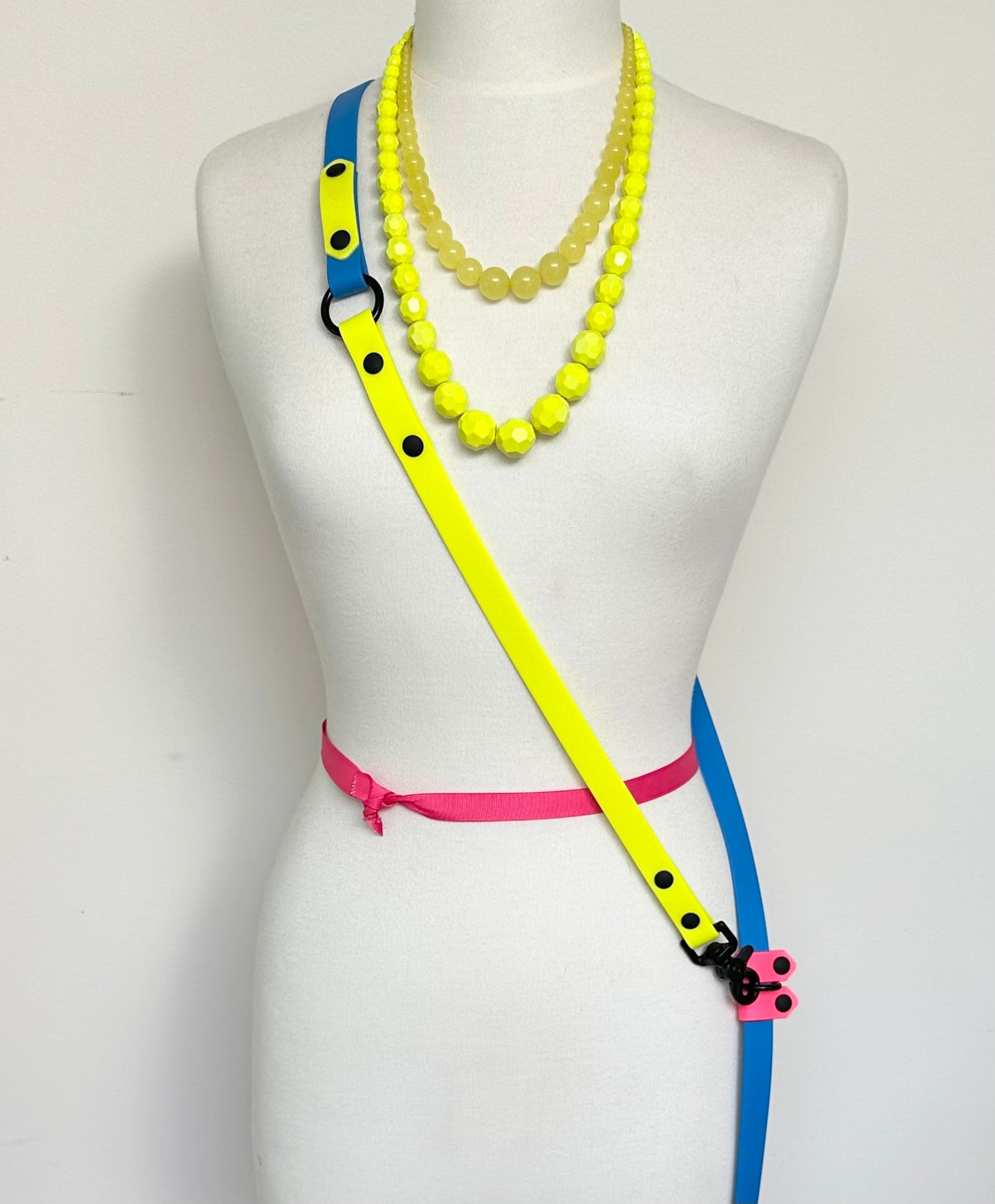 Custom All The Ways leash