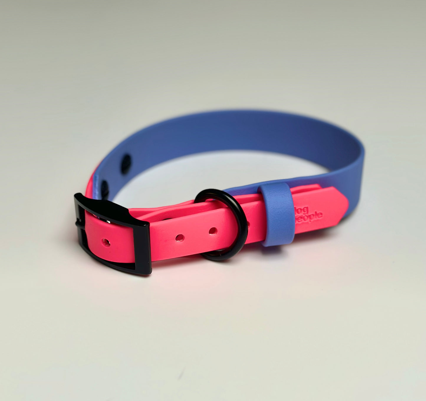 The Sighthound Collar Custom - 1"