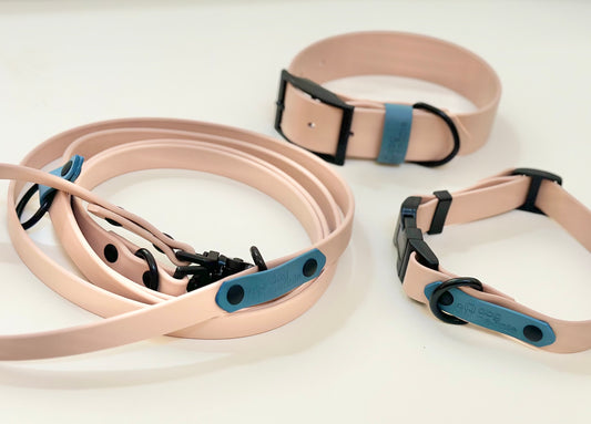 Limited Edition The Beach Buckle Collar