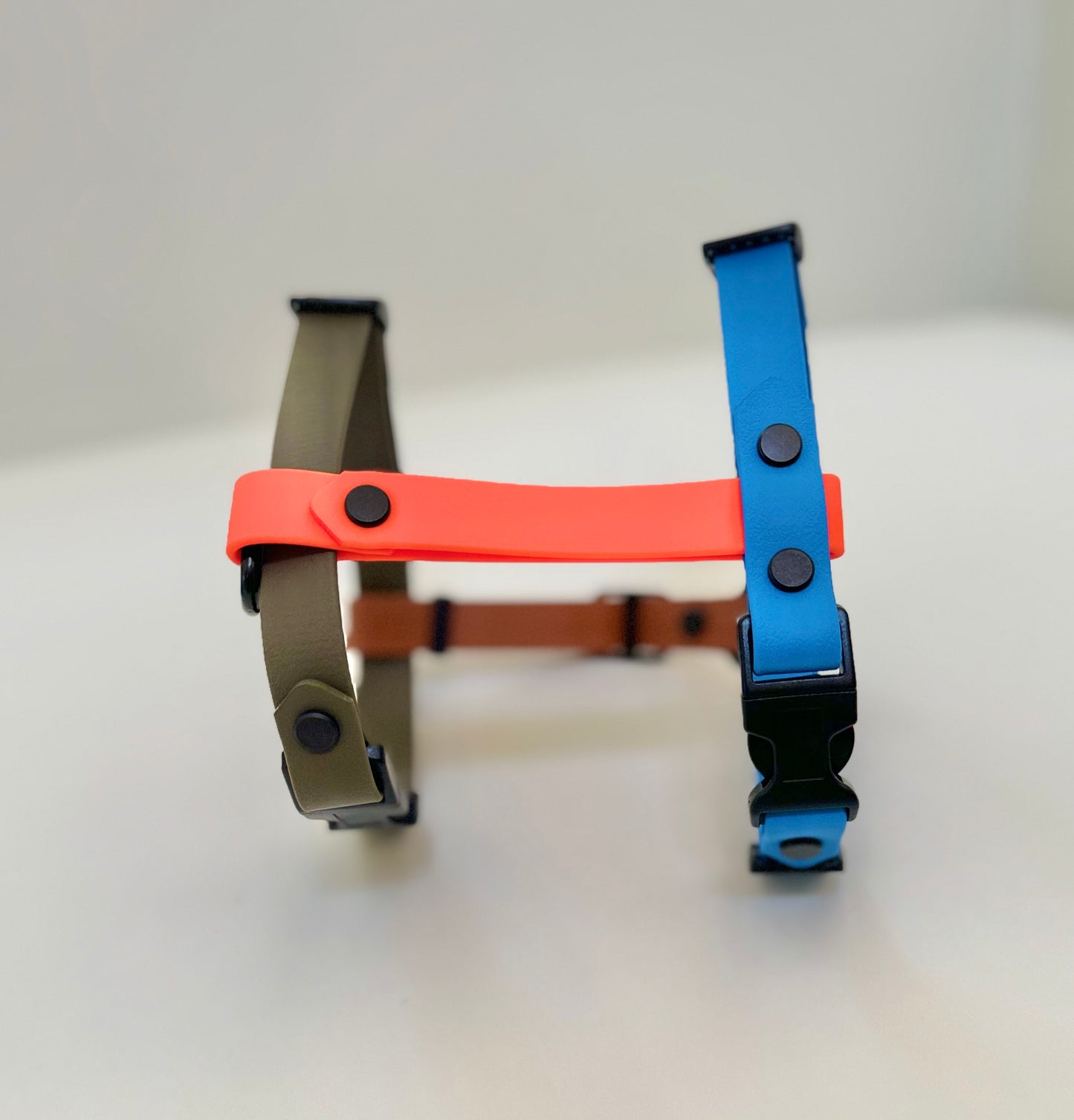 The Rocco Harness