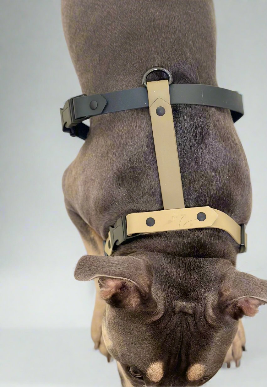 Trail Harness