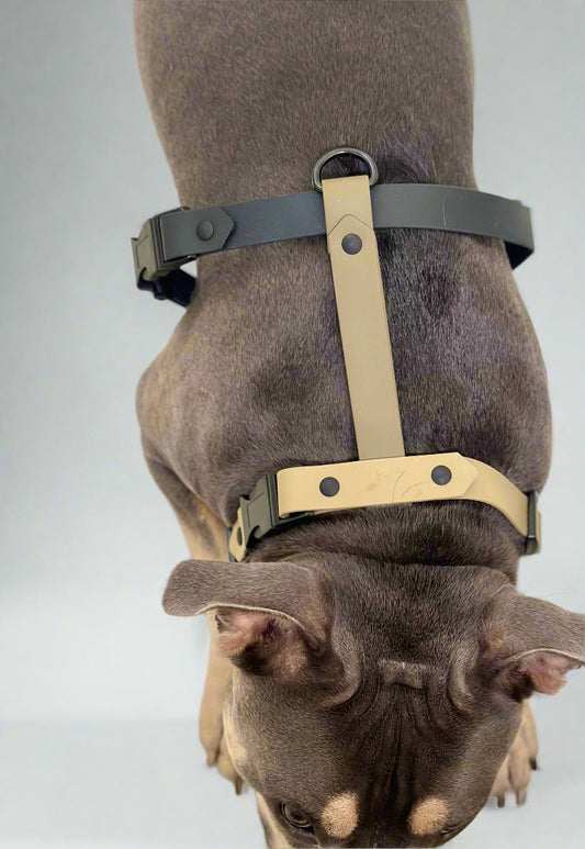 Trail Harness