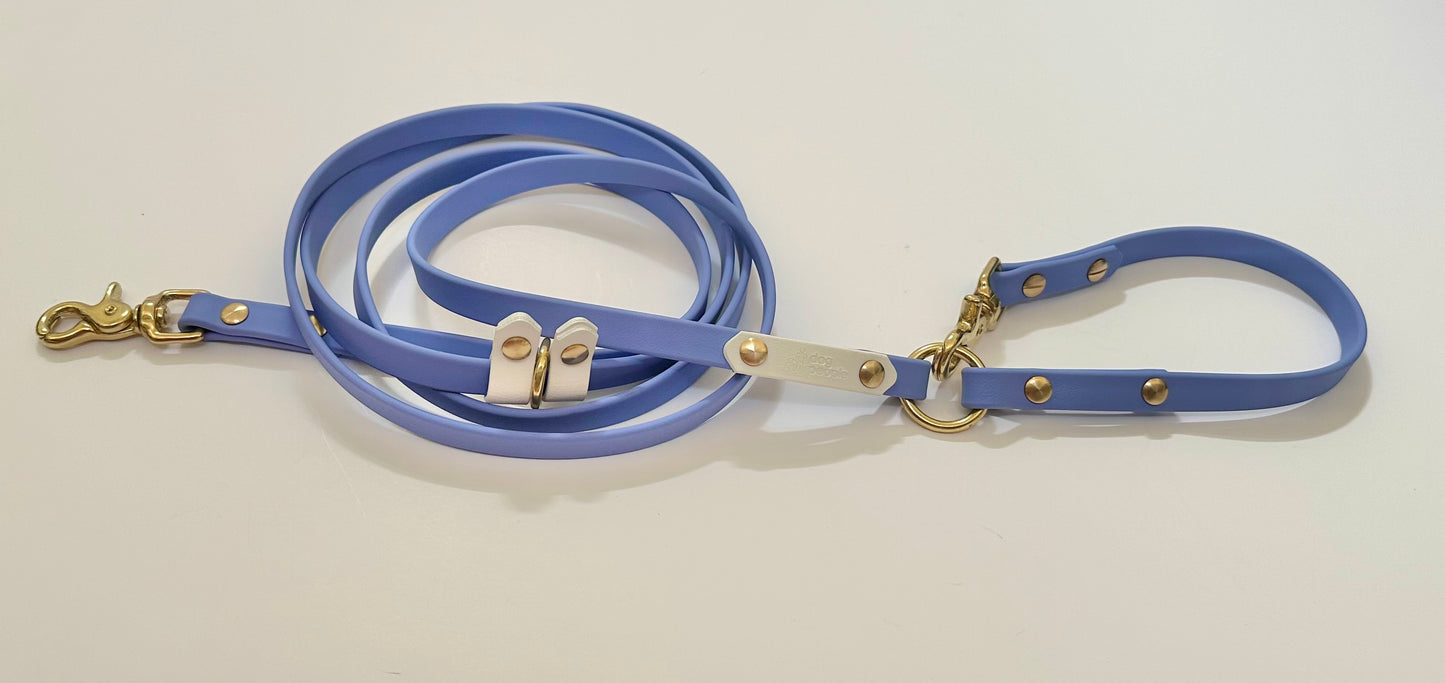 Custom All The Ways leash