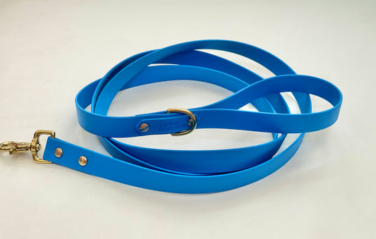The Basic leash