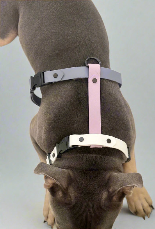 Lilac Dreams Harness