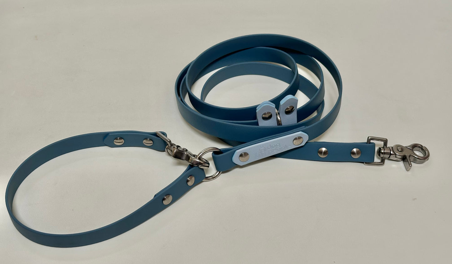 Custom All The Ways leash