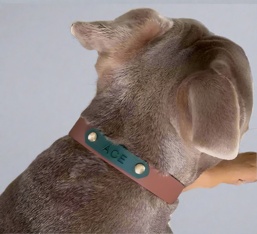 Name plate/phone number add on for collars