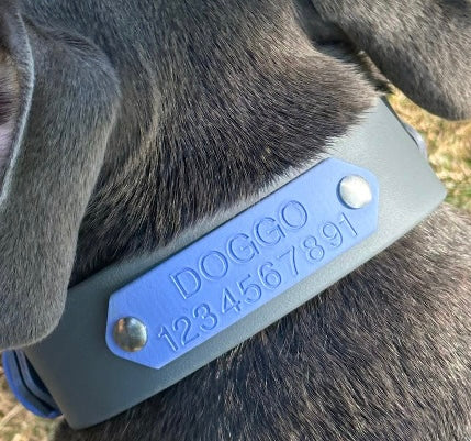 Name plate/phone number add on for collars