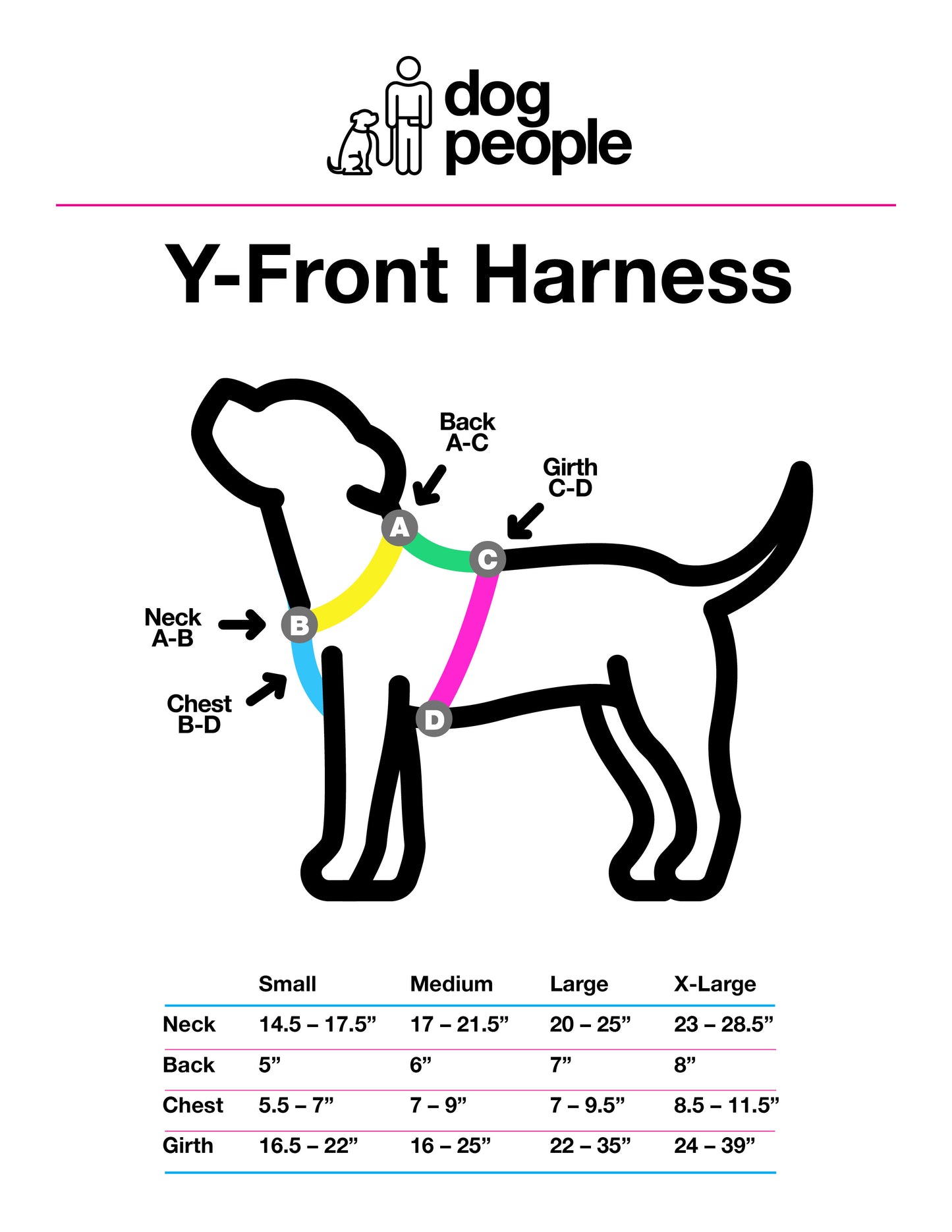 Limited Edition - 80s Aerobics Harness