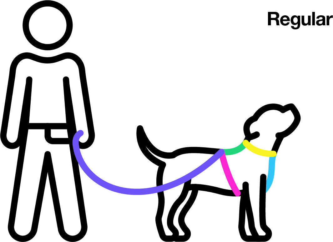 All The Ways leash 5/8” Super Cush