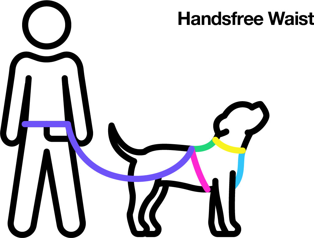 The Rocco All the Ways leash