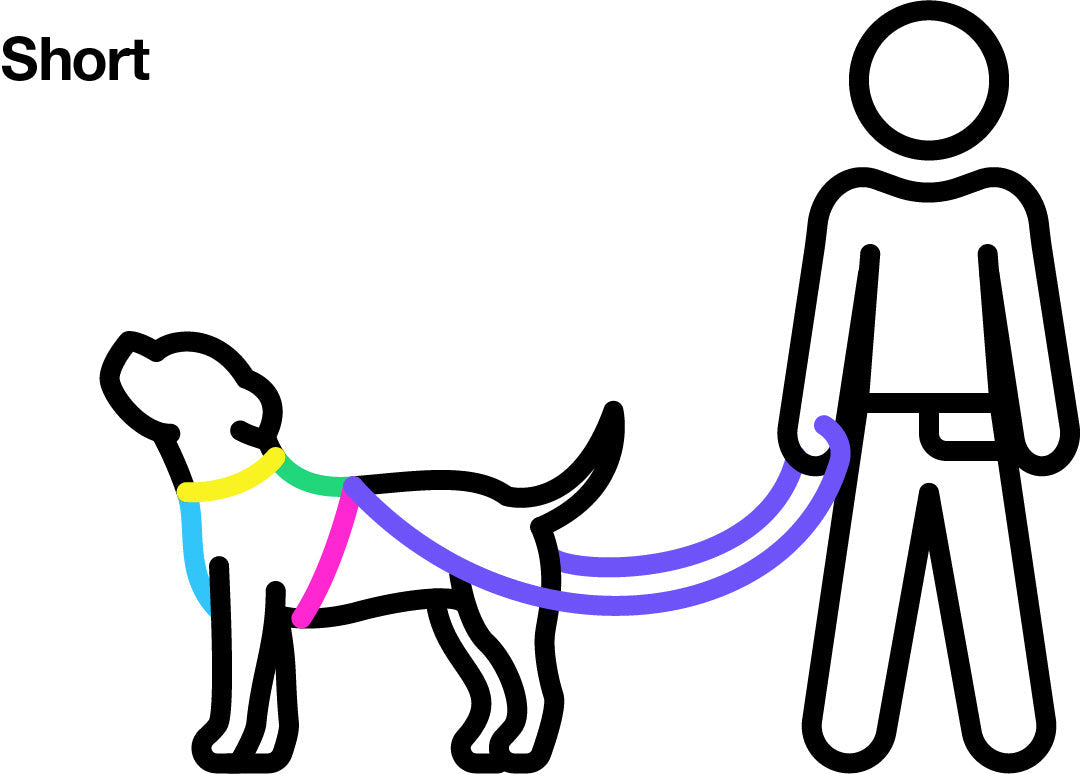 Blackout All The Ways leash 8 ft