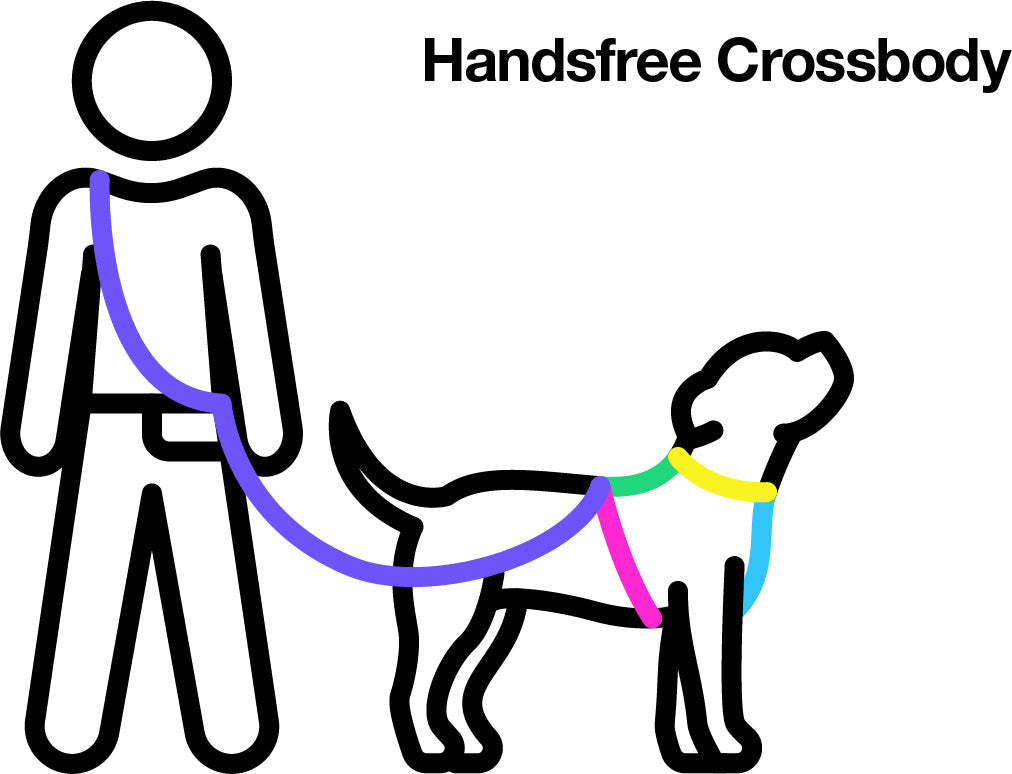 The Rocco All the Ways leash