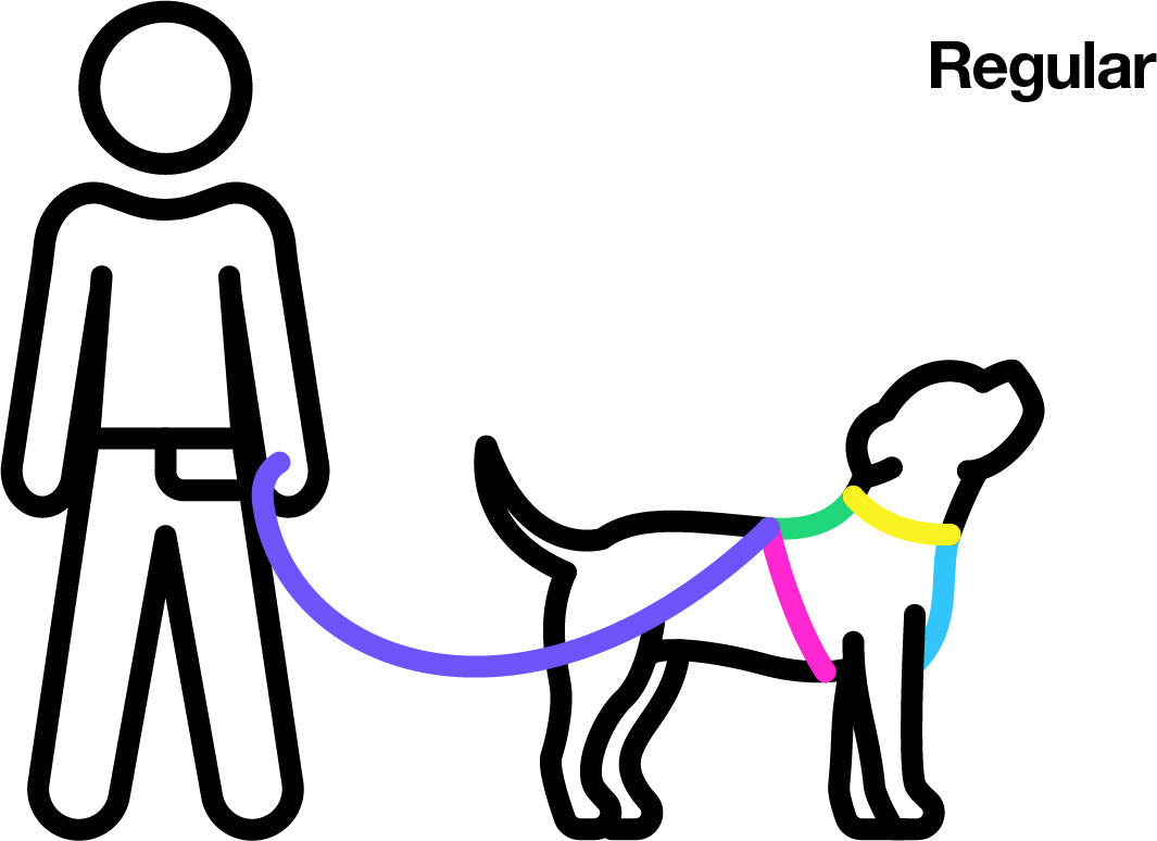 Blackout All The Ways leash 8 ft