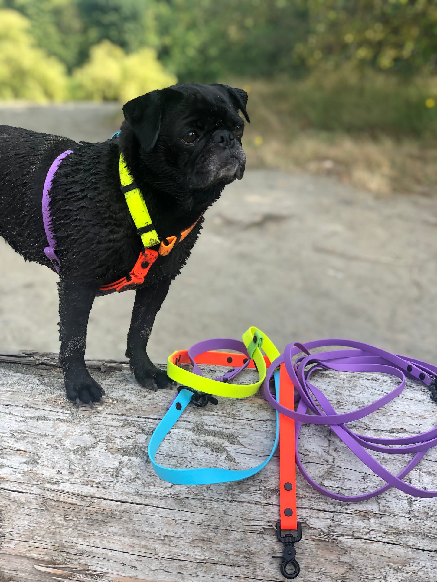 The Iris Harness - Limited Edition